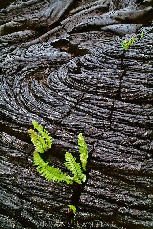 Microscopic view of obsidian beads showing surface fractures